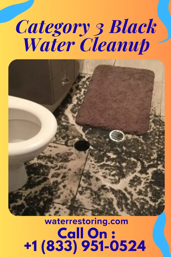 Category 3 Black Water Cleanup in East Ridge, TN