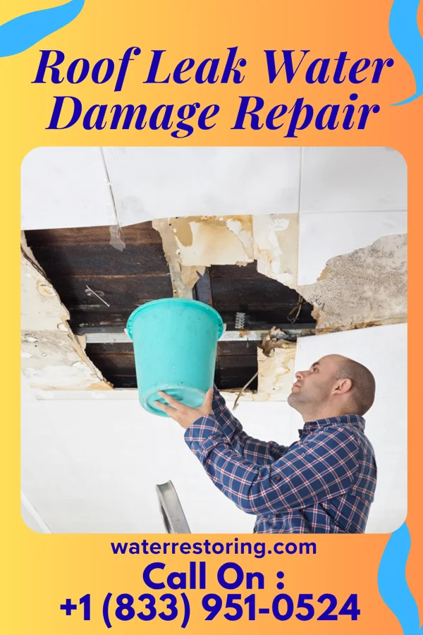 Roof Leak Water Damage Repair in East Ridge, TN